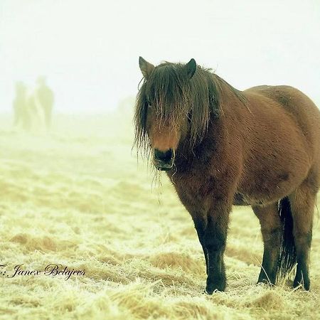 Efri-Gegnishólar Selfoss Exterior foto