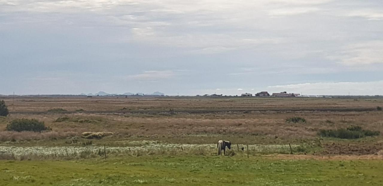 Efri-Gegnishólar Selfoss Exterior foto