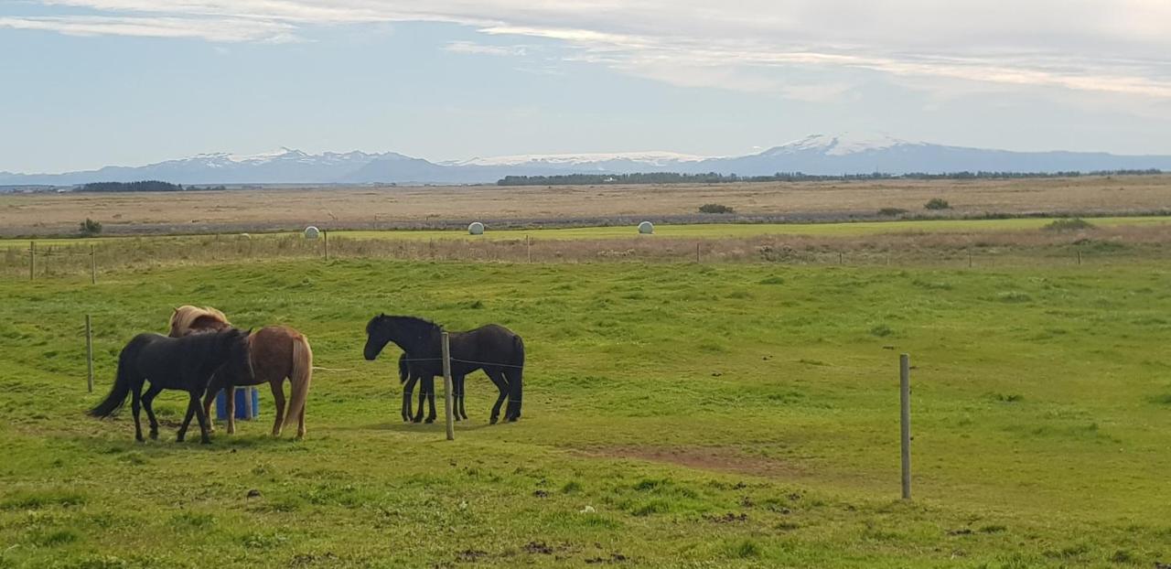 Efri-Gegnishólar Selfoss Exterior foto